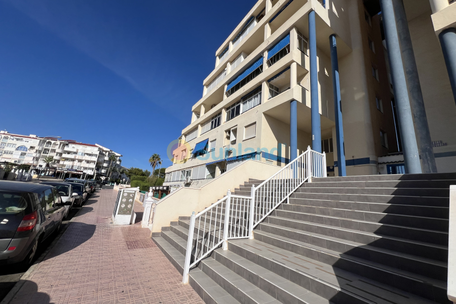 Verkauf - Apartamento - Torrevieja