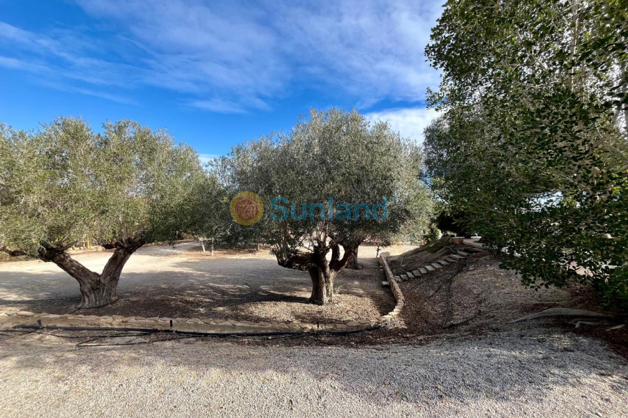 Segunda mano - C - El Esparragal