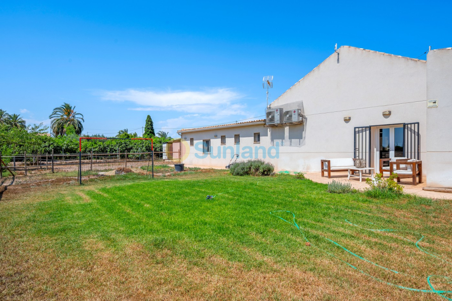 Resale - Country estate - Elche/Elx