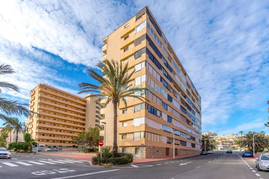 Segunda mano - Apartamento - Torrevieja - Cabo Cervera
