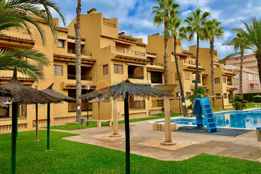 Resale - Apartment - La Mata