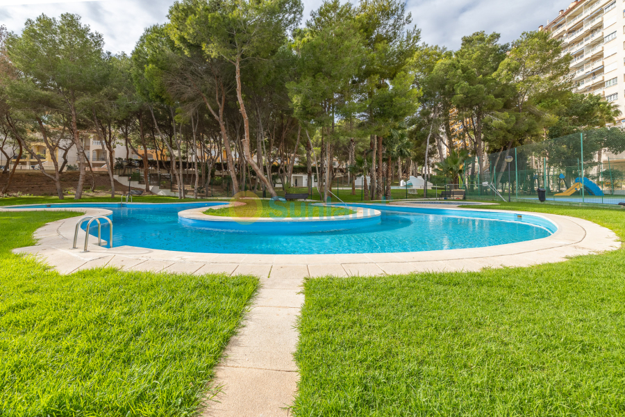 Resale - Apartamento - Orihuela Costa - Campoamor