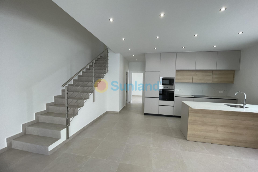 Ny bygg - Villa - Almoradí - Heredades