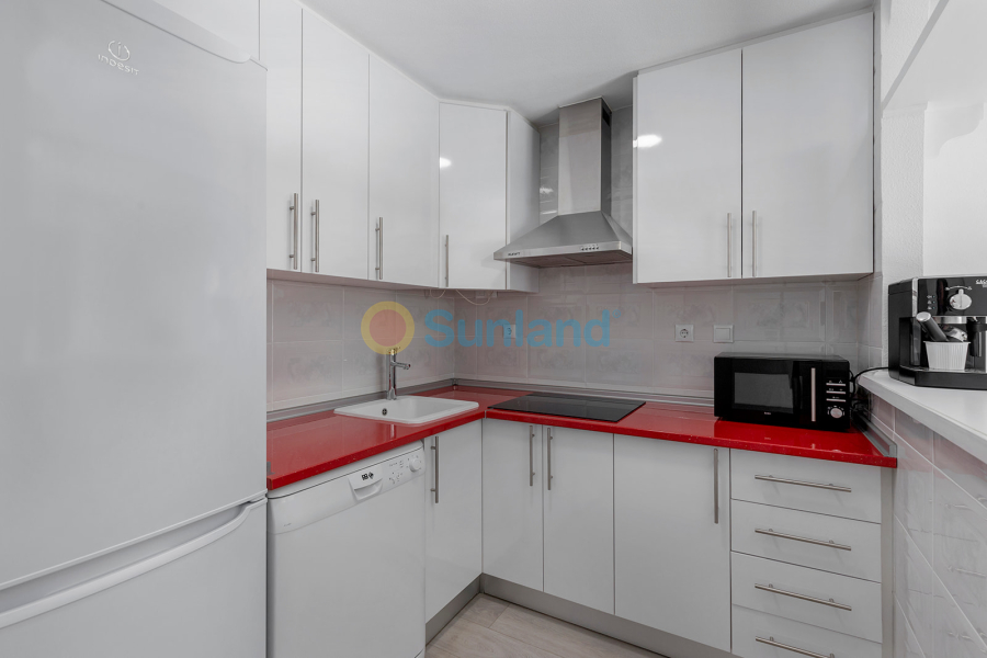 Segunda mano - Apartamento - Torrevieja - La Mata