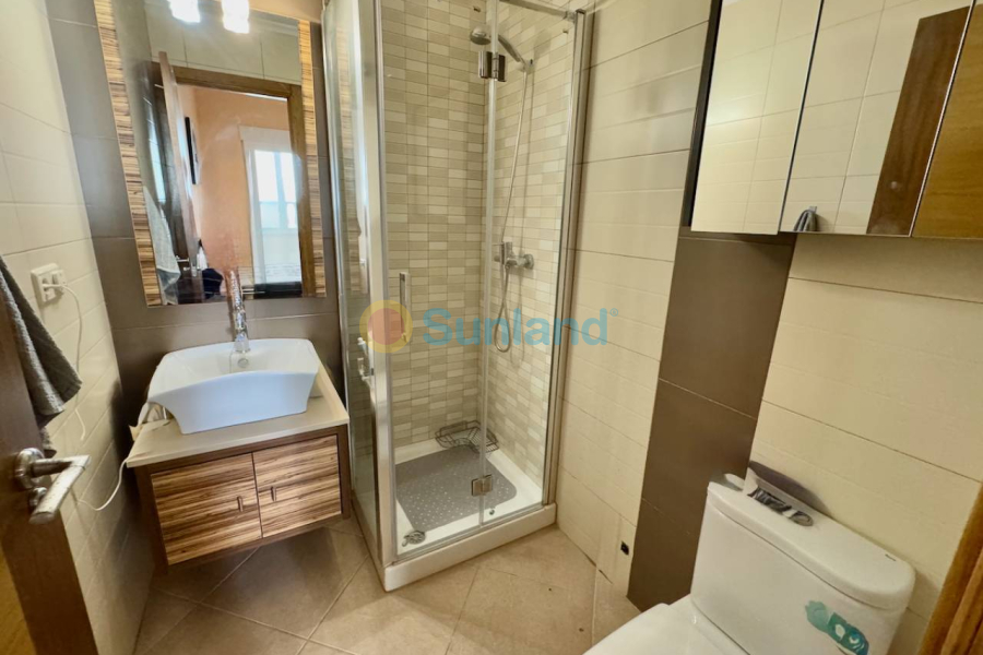 Använda fastigheter - Lägenhet - Formentera del Segura