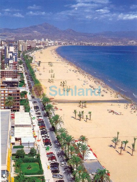 Новостройка - Апартамент - San Juan Alicante - Fran espinos