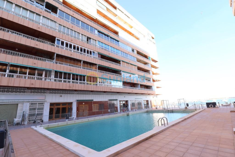 Resale - Apartment - Torrevieja - Acequion