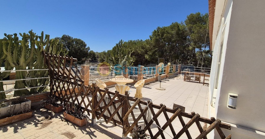 Använda fastigheter - Villa - Torrevieja - Los Balcones