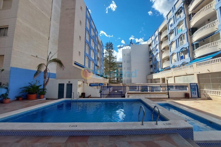 Brukte eiendommer - Ground Floor - Torrevieja - Playa de Los Locos