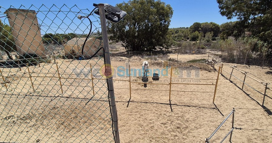 Använda fastigheter - Villa - Torrevieja - Los Balcones
