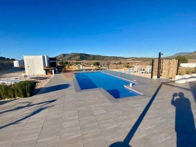 New Build - Villa - Jumilla - Torre del Rico