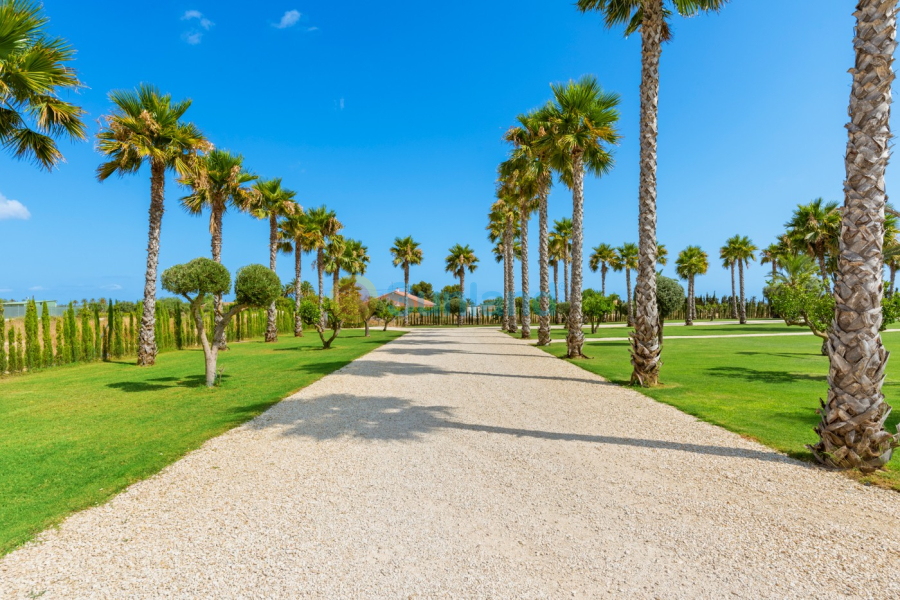 Resale - Villa - Elche/Elx