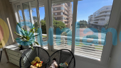 Segunda mano - Apartamento - Torrevieja - La Veleta