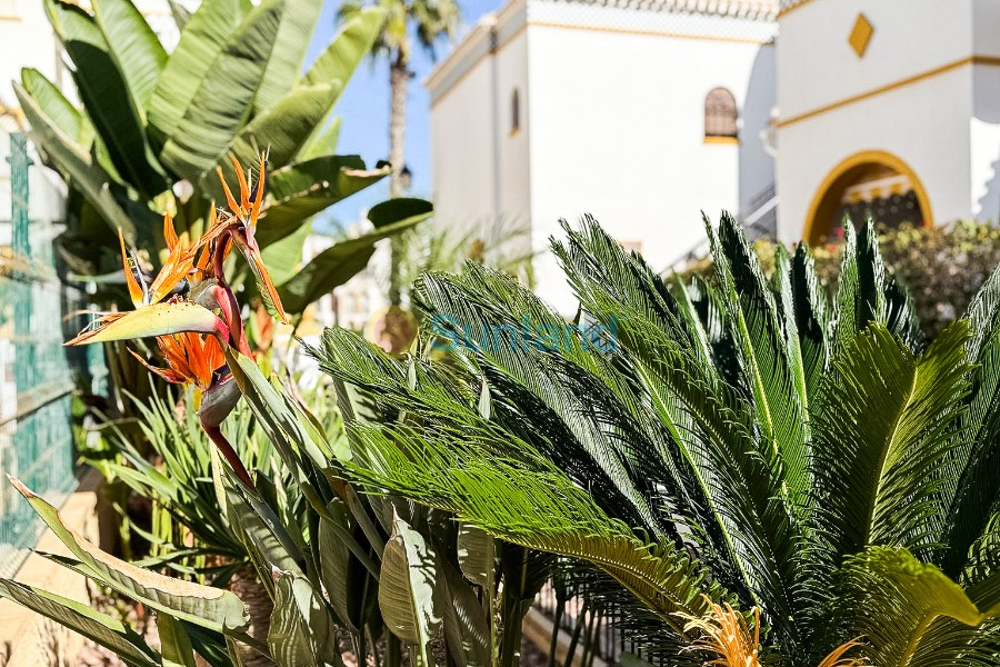 Resale - Apartment - Torrevieja - La Mata