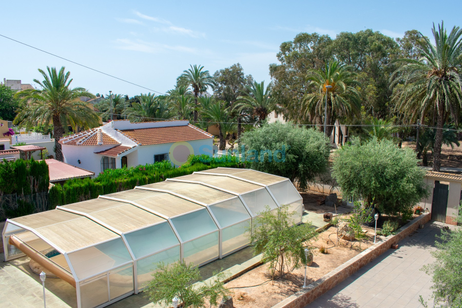 Segunda mano - Chalet - Orihuela Costa - Mil Palmeras