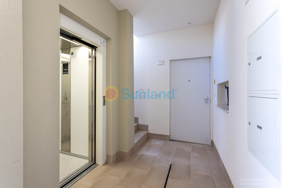 Använda fastigheter - Apartment / flat - Guardamar del Segura - El Raso