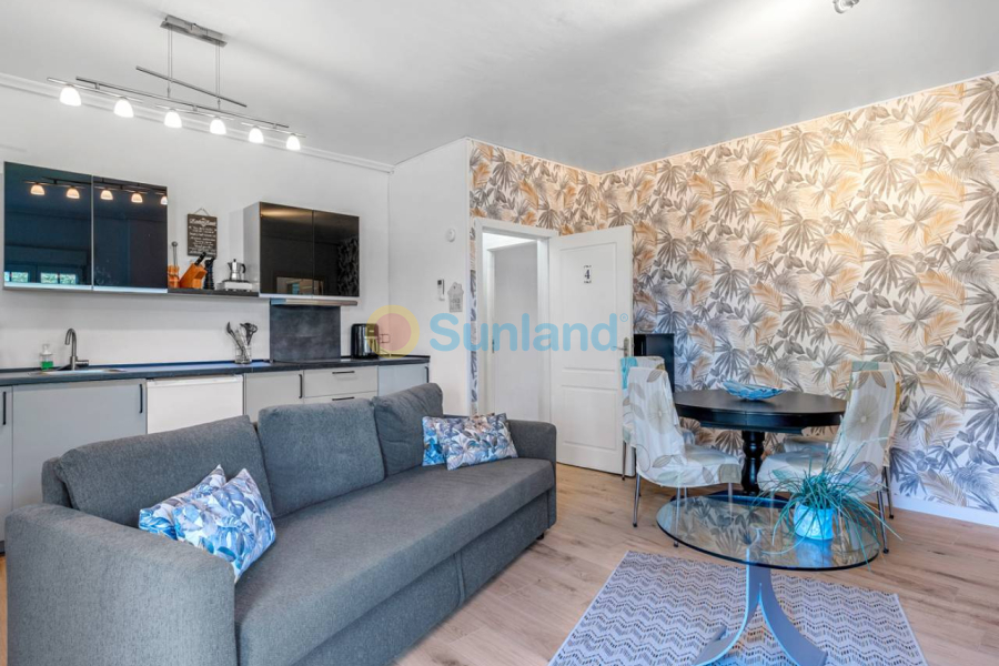 Segunda mano - Country house - Los Montesinos