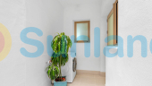 New Build - Penthouse - Jacarilla - pueblo