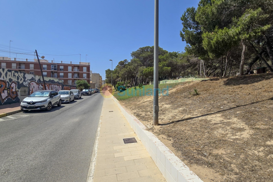 Använda fastigheter - Land - Guardamar del Segura - Pueblo