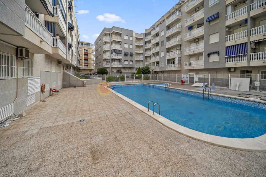 Använda fastigheter - Apartamento - Torrevieja - Centro
