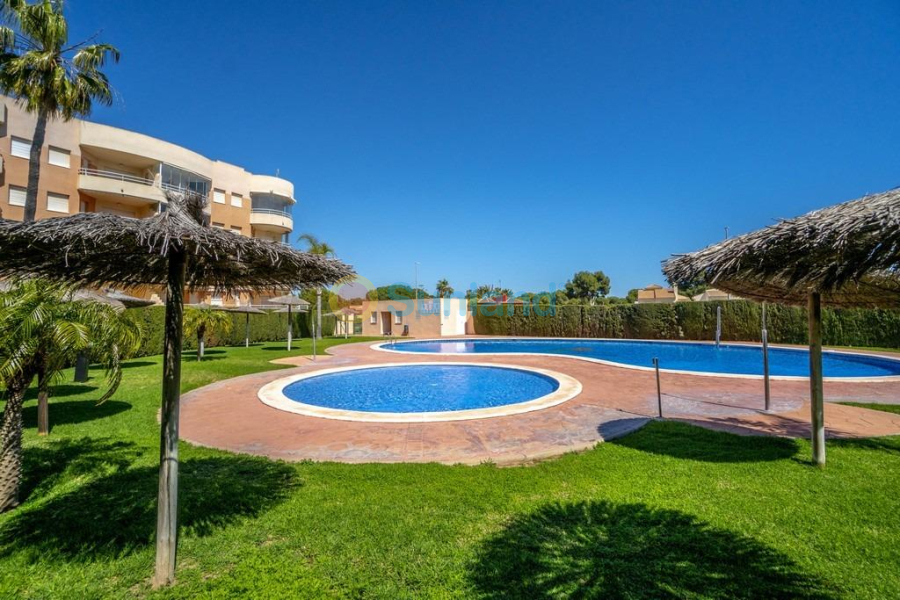 Verkauf - Apartment - Orihuela Costa - Campoamor