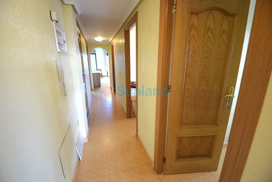 Verkauf - Apartment - Guardamar del Segura - 