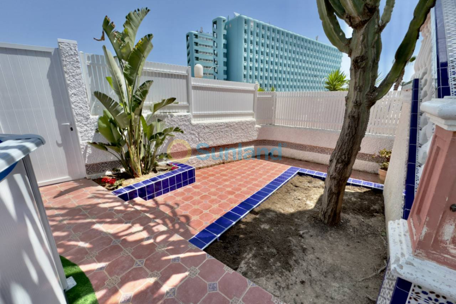 Resale - Villa - Guardamar del Segura - 