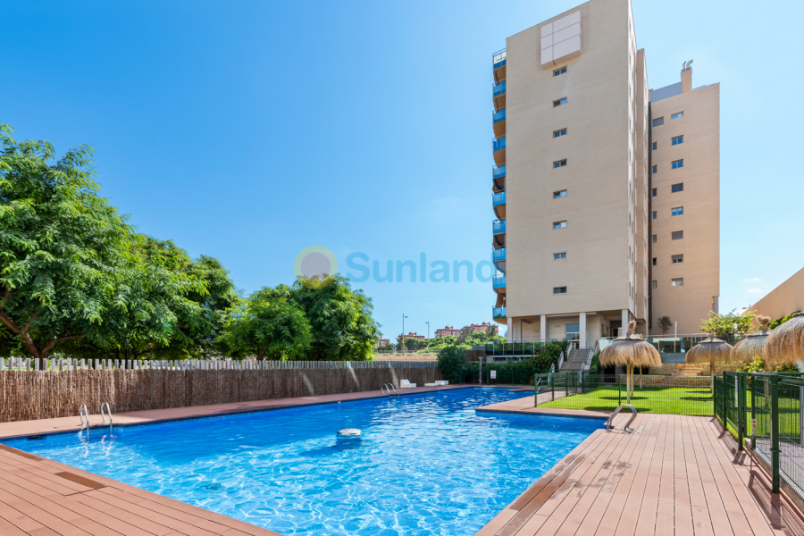 Verkauf - Apartment - El Campello - El Amerador