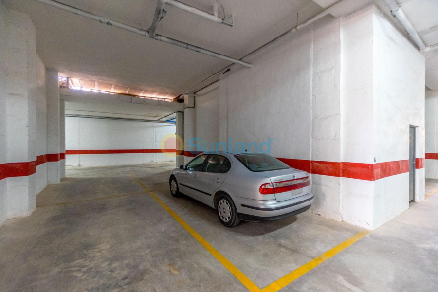 Segunda mano - Apartamento - Torrevieja - Los Europeos