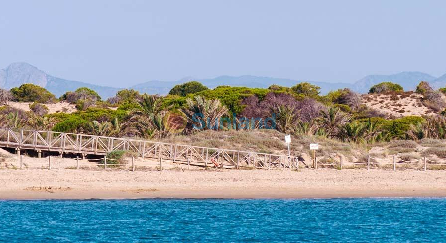 New Build - Penthouse - Guardamar del Segura - Pueblo