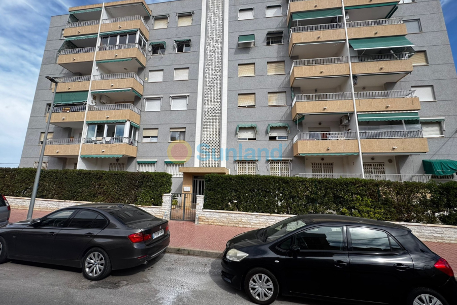 Segunda mano - Apartamento - Torrevieja - Punta Prima