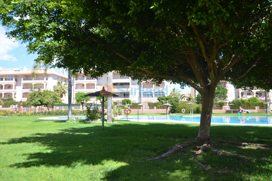 Segunda mano - Apartamento - Orihuela Costa - Playa Flamenca