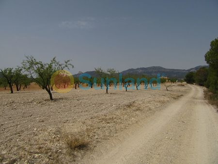 Resale - P - Murcia - 