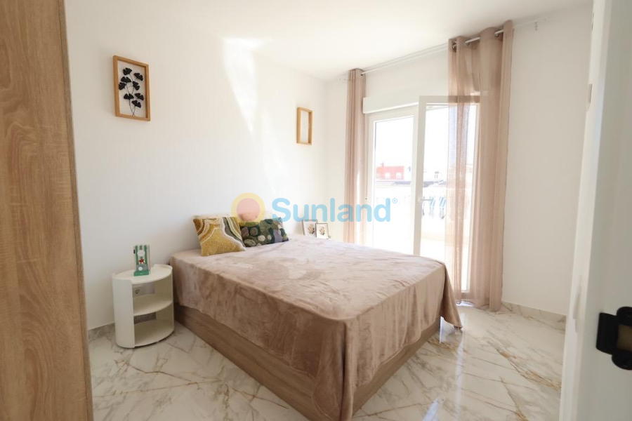 Segunda mano - T - Torrevieja - San Luis
