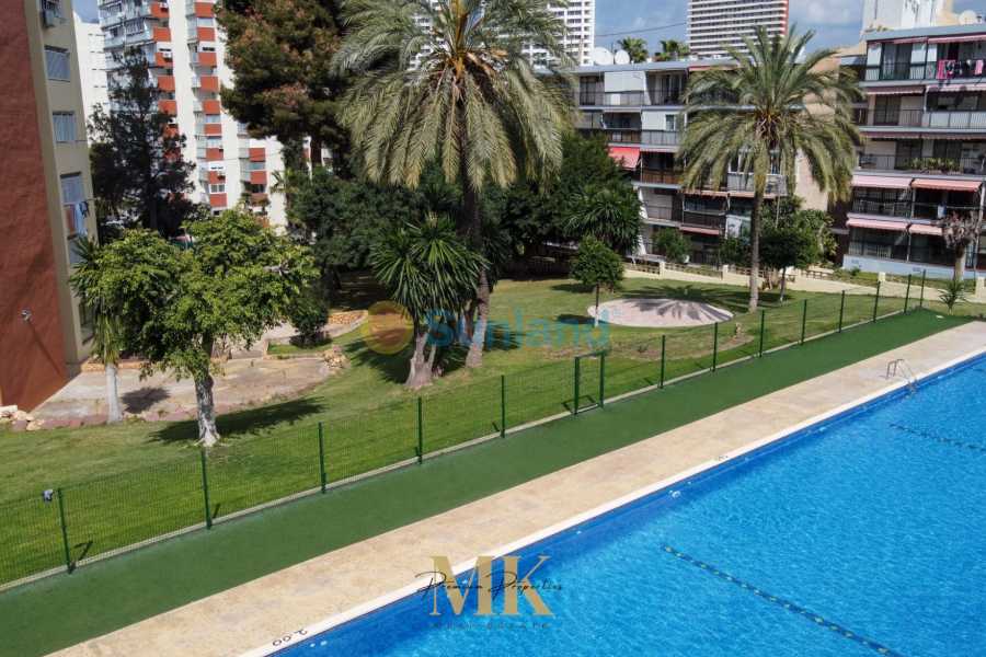 Brukte eiendommer - Leilighet - Benidorm - Levante