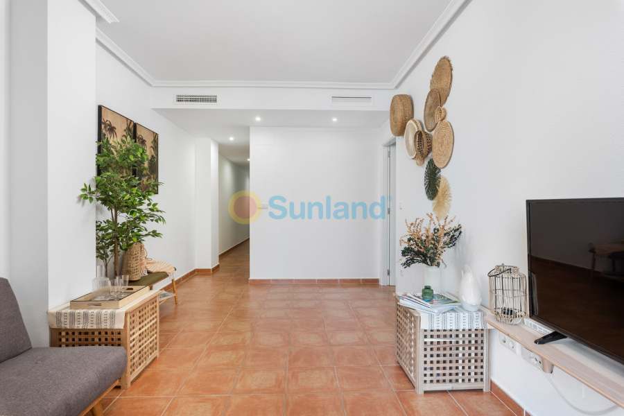 Använda fastigheter - Lägenhet - Guardamar del Segura