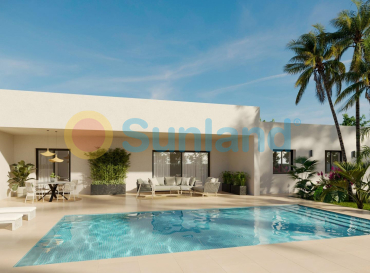 Chalet - Nueva construcción  - Aspe - Poligono 19