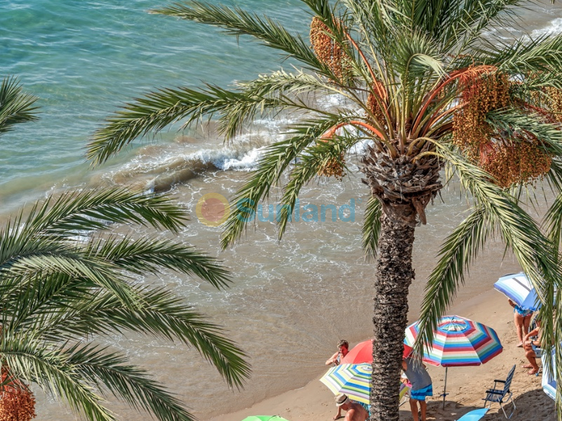 Använda fastigheter - Lägenhet - Torrevieja