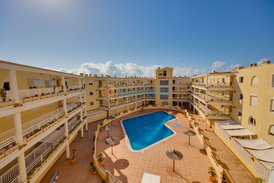 Verkauf - Apartamento - Orihuela Costa - La Regia