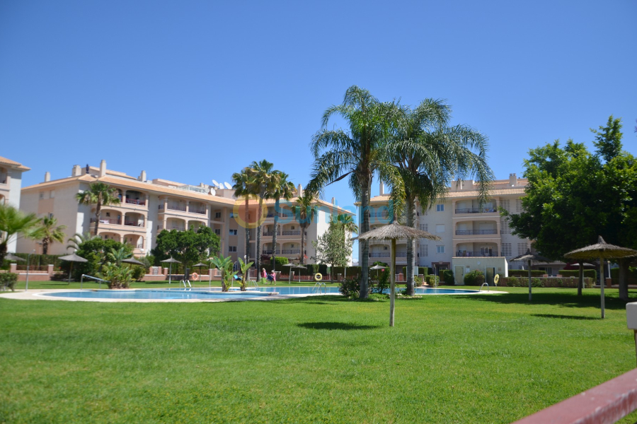 Resale - Apartment - Orihuela Costa - Playa Flamenca