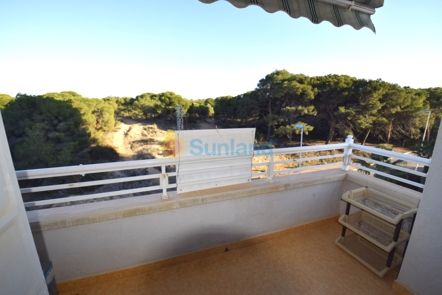 Resale - Apartment - Guardamar del Segura - 