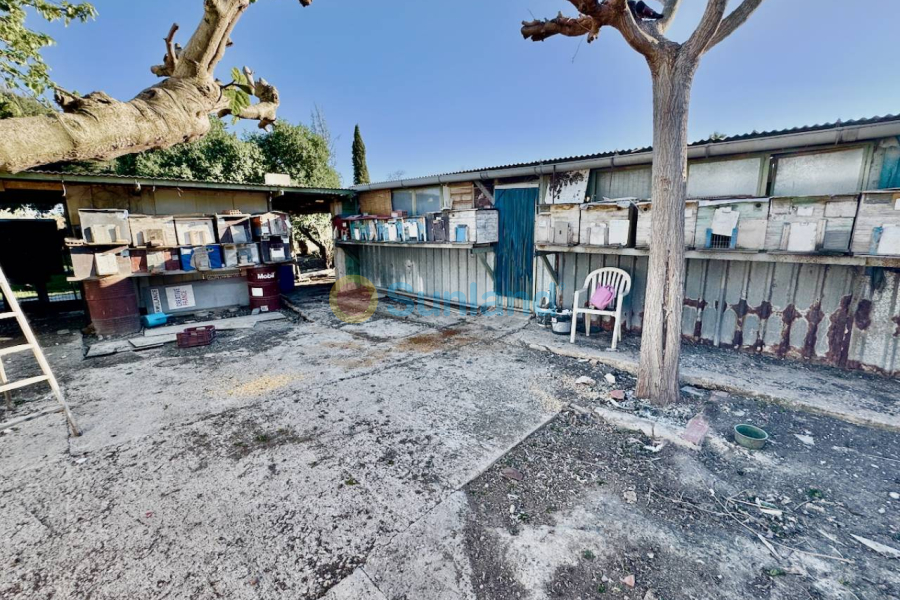 Resale - Villa - Guardamar del Segura