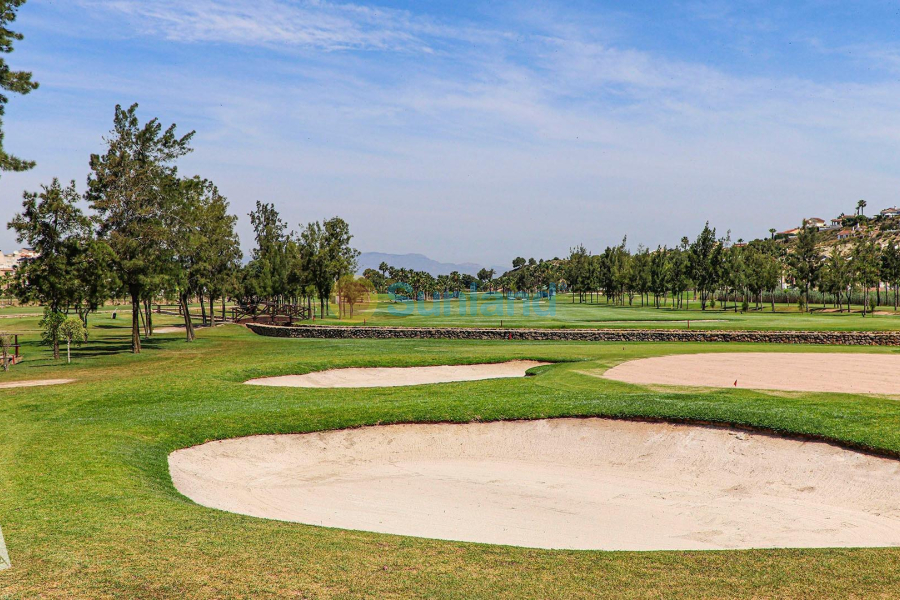 Ny bygg - Villa - Rojales - Ciudad Quesada