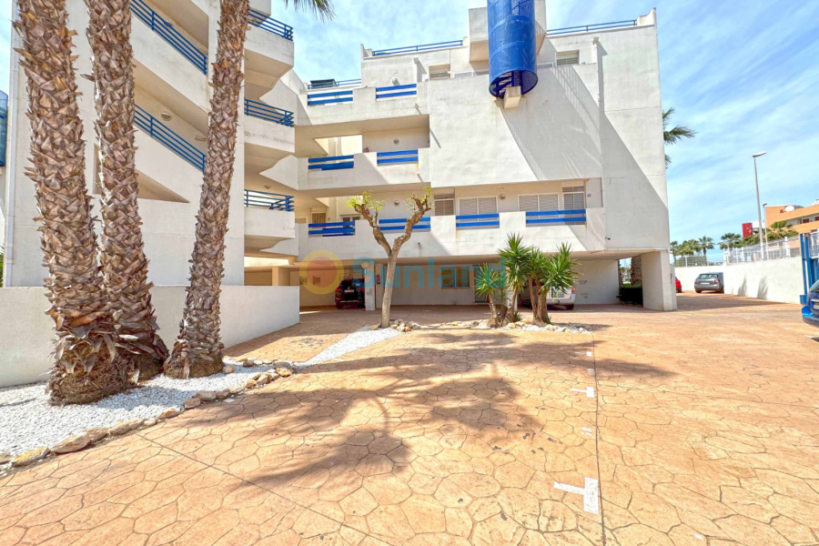Segunda mano - Apartamento - Orihuela Costa - Playa Flamenca