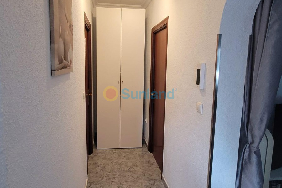 Segunda mano - Chalet - San Fulgencio - Urbanización La Marina