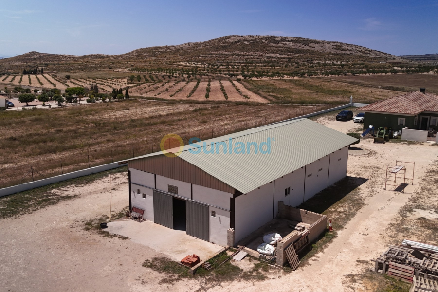 Resale - Country house - Torre Del Rico