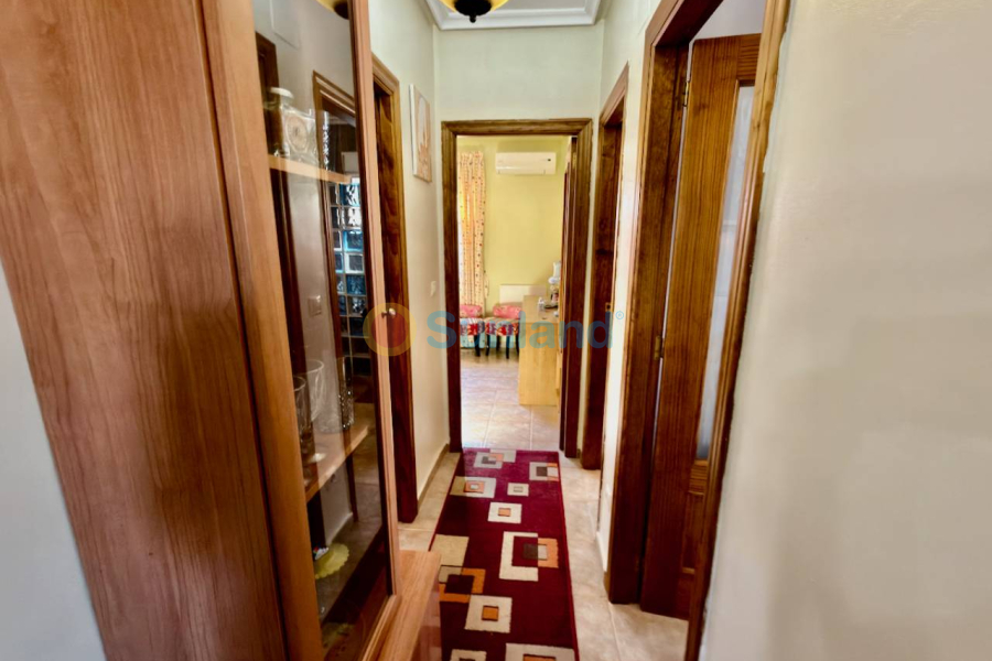 Verkauf - Haus - El Raso