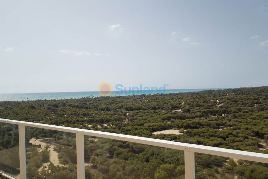 Resale - Apartment - Guardamar del Segura - 