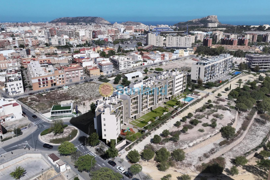 New Build - Penthouse - ALICANTE - San Agustín-PAU 2