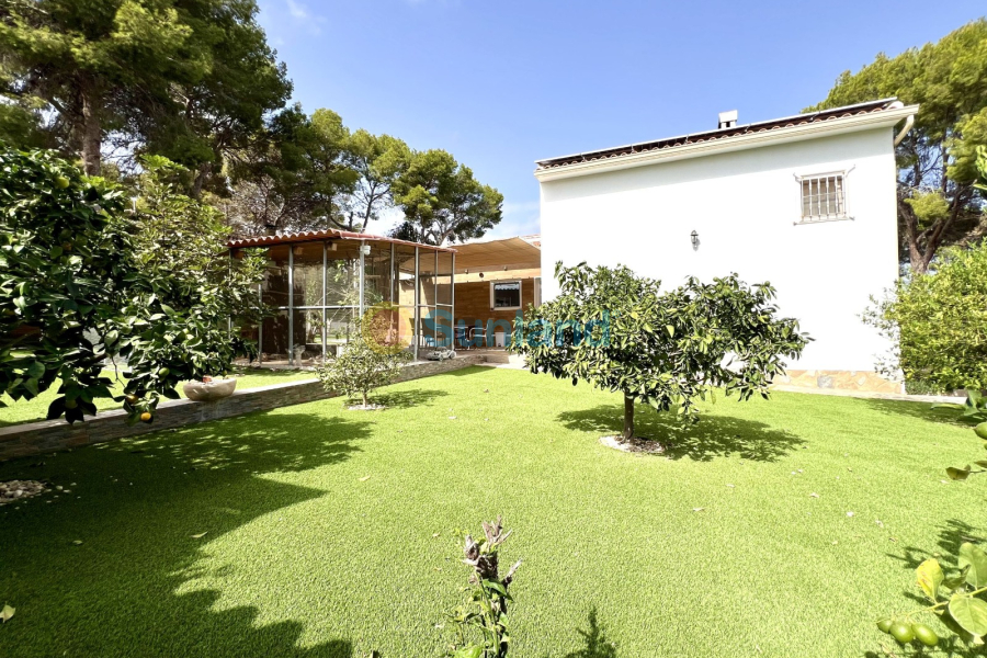 Segunda mano - Chalet - Torrevieja - Los Balcones